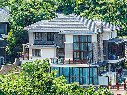 偉業(yè)豪庭別墅案例
